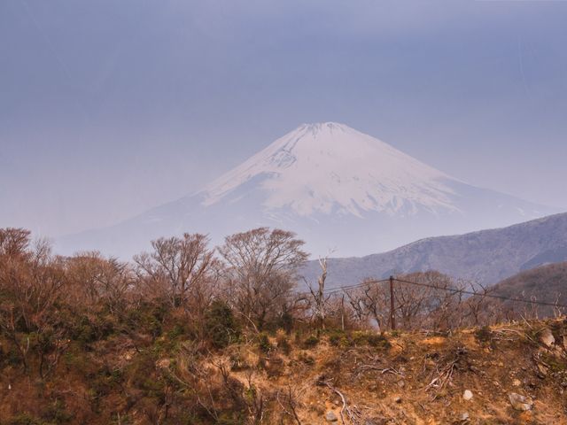 Индивидуальный тур из Токио в национальный парк Fuji Hakone Isu — фото 3