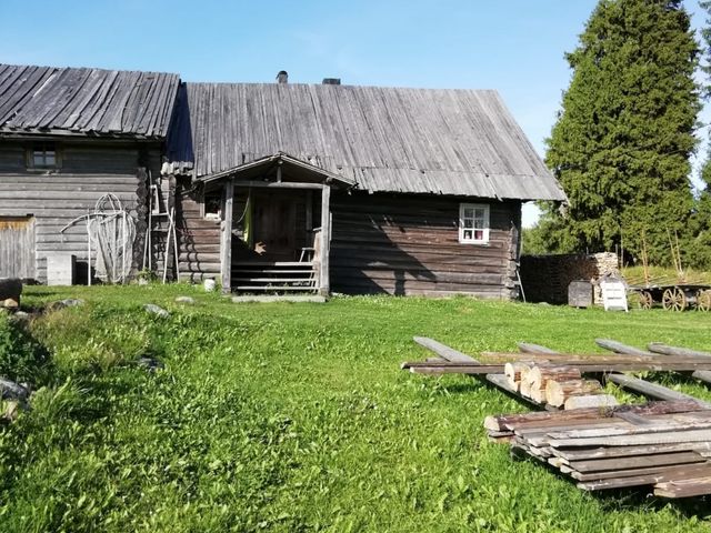 Обзорная экскурсия в деревню Кинерма – музей под открытым небом — фото 3
