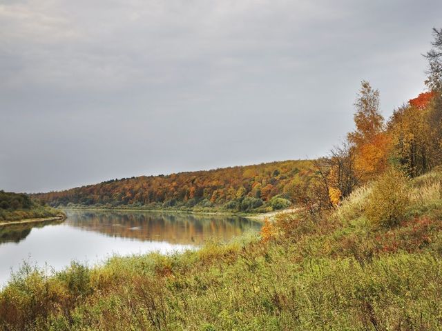 В легендарное Поленово на катере + Бёхово — фото 3