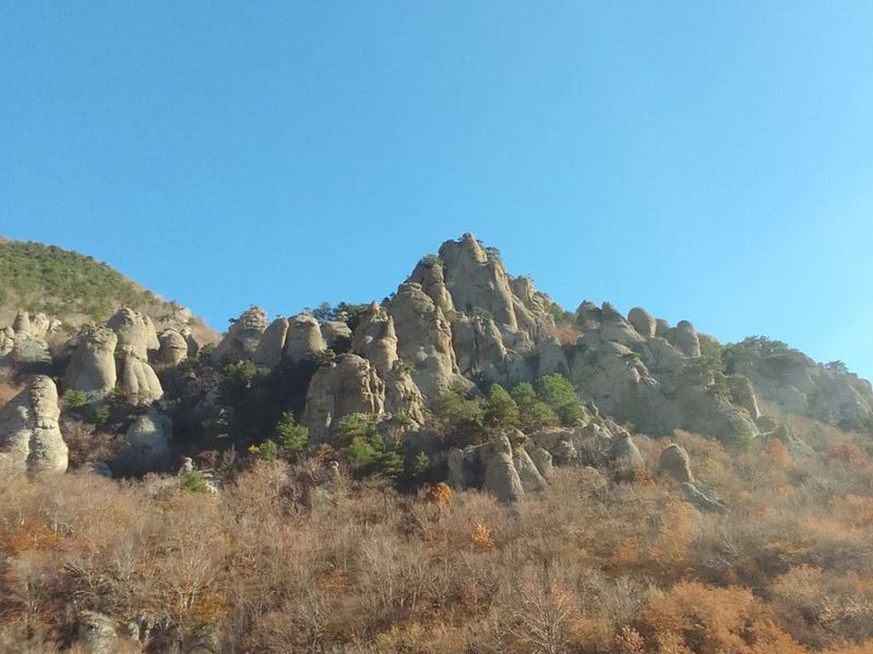 Солнечная поляна