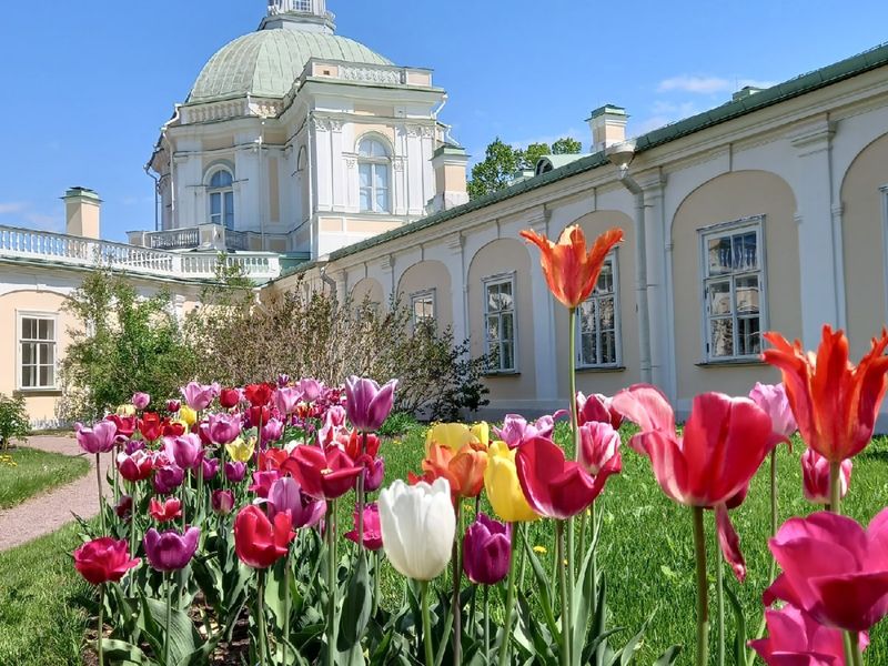 В Ораниенбауме