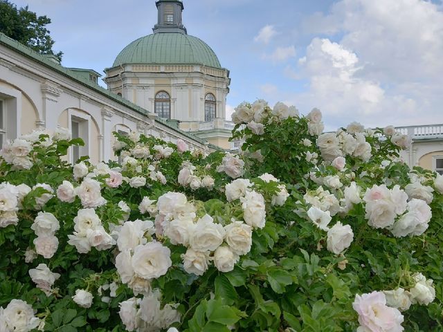 В Ораниенбаум — к красоте! Экскурсия-прогулка по парку — фото 2