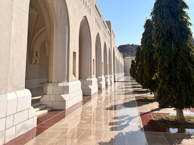 Обзорная экскурсия в Маскате с гидом в группе — фото 2