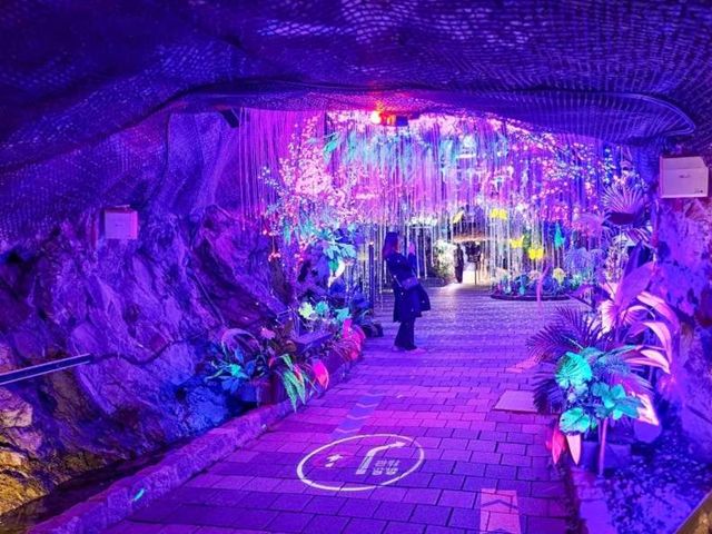 Индивидуальная экскурсия из Сеула в парк в пещере Кванмён — фото 3