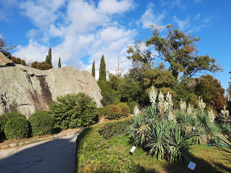 Парк в Алупке