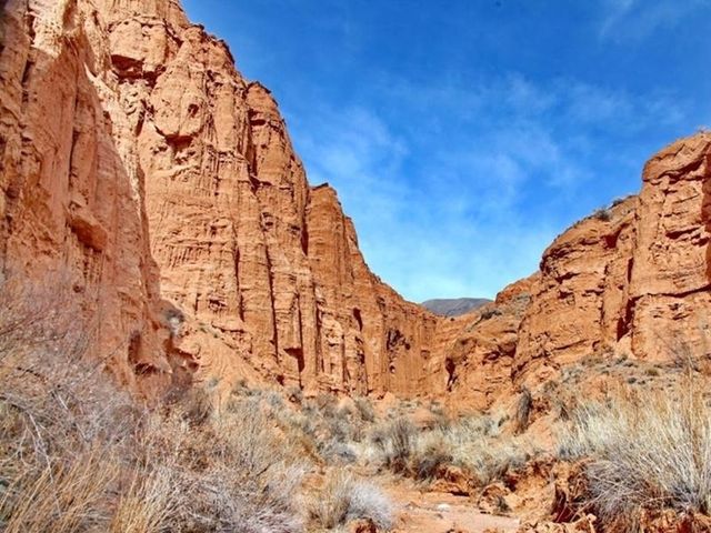 Автобусная экскурсия в группе в Чарынский каньон — фото 2