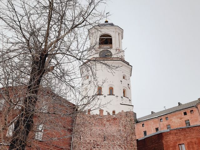 День в Выборге. Экскурсия по городу и парку — фото 3