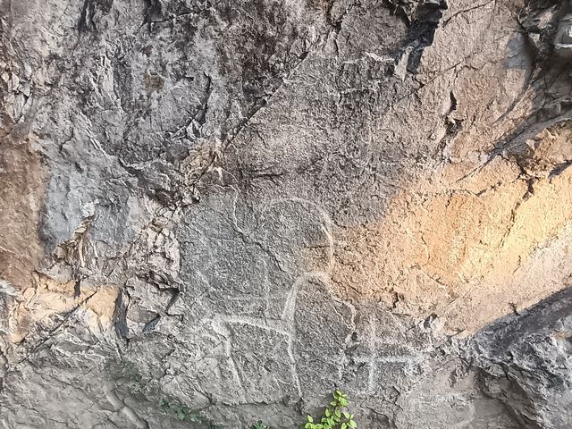 Экскурсия в Институт Солнца и горы Чимган — фото 3