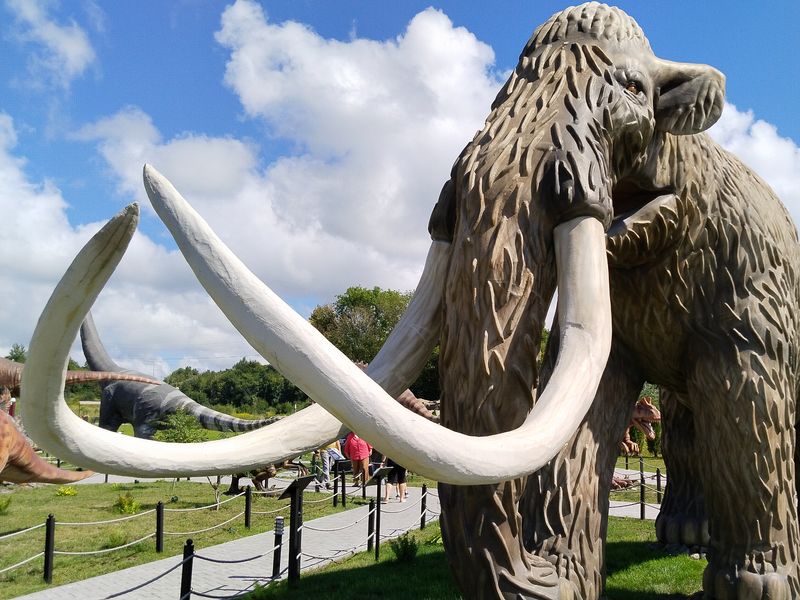 Янтарная солянка — всё побережье за один день - индивидуальная экскурсия в Калининграде на машине гида длительностью 9 часов с количеством участников до 4 человек цена экскурсии 27550₽