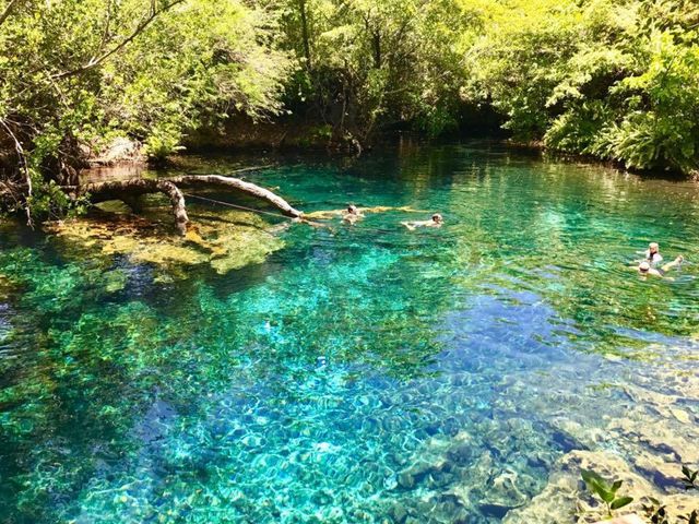 Экскурсия «Голубые лагуны и пляж Playa Blanca» в Пунта-Кане — фото 2