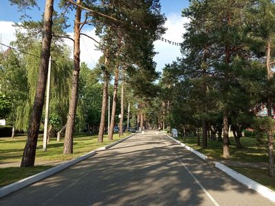 От черепах до лебедей. Прогулка по центру