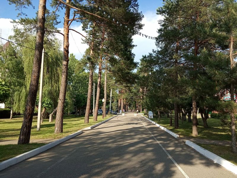 От черепах до лебедей. Прогулка по центру - индивидуальная экскурсия в Горячем Ключе пешком длительностью 2 часа с количеством участников до 10 человек цена экскурсии 4000₽