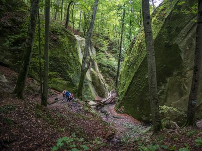 Фотопрогулка к скале: параллельный мир в лесу