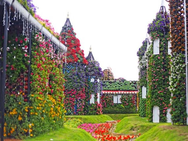Экскурсия в парк цветов Miracle Garden + ярмарка Global Village — фото 2