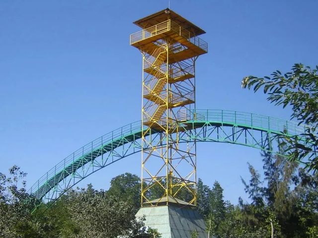 Индивидуальная экскурсия из Хошимина в мангровые леса Канзё — фото 3