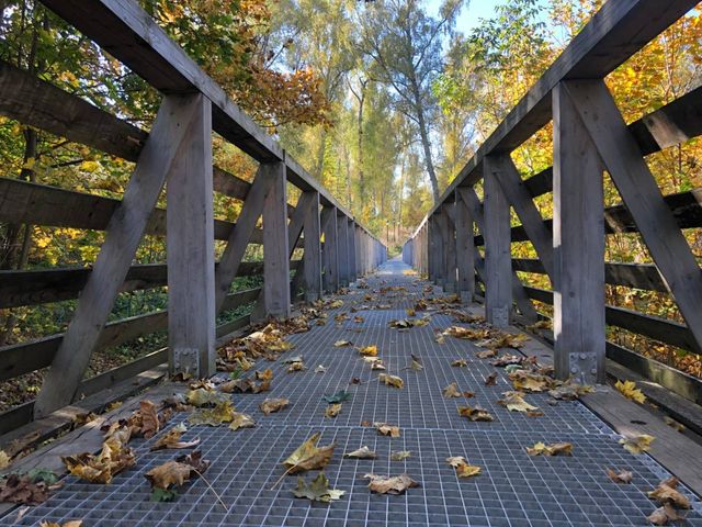 Индивидуальная обзорная экскурсия по Тарусе — фото 3