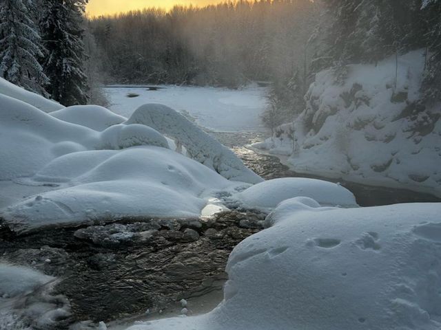 Обзорная экскурсия по живописным окрестностям Петрозаводска