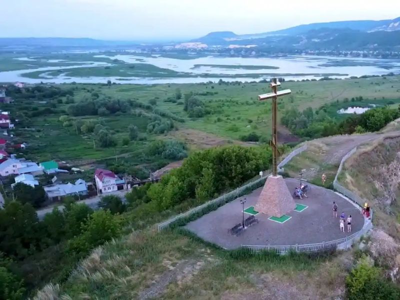 Виды