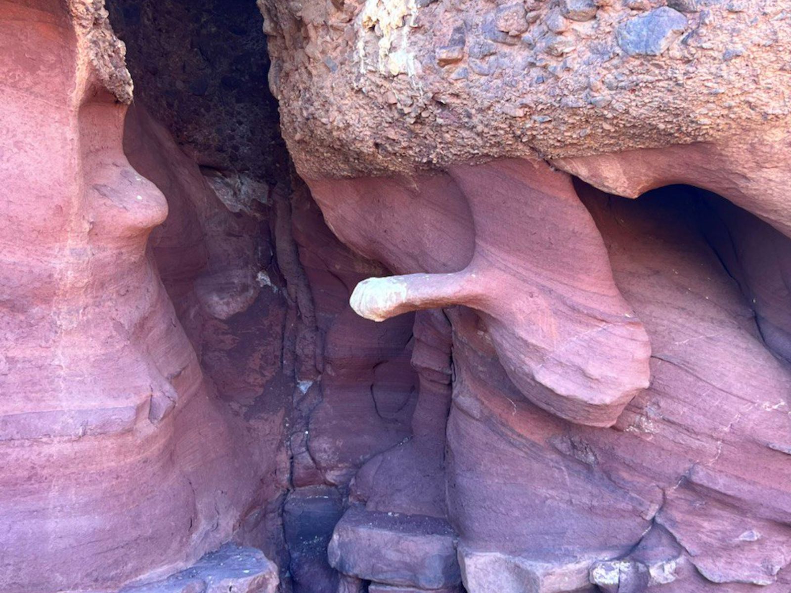 Скалы