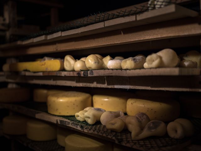 Индивидуальная экскурсия из Самары «Гора Стрельная и сыроварня» — фото 2