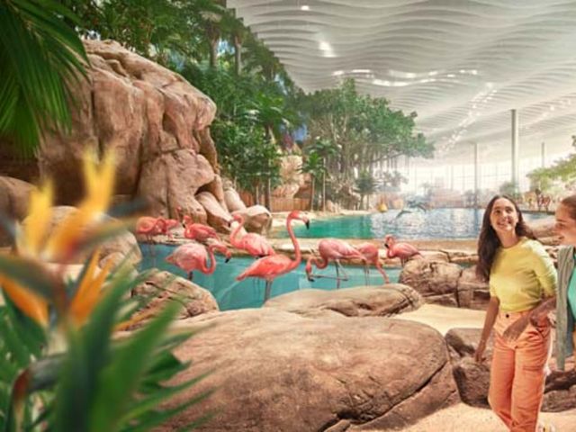 Экскурсия в группе: океанариум SeaWorld и Белая мечеть в Абу-Даби — фото 3