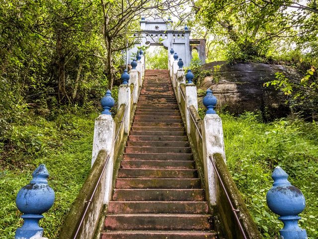 Джип-сафари в национальном парке и древний храм в Хиккадуве — фото 2