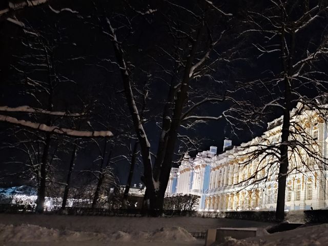 Новогодний Пушкин — Царское Село на автомобиле — фото 2
