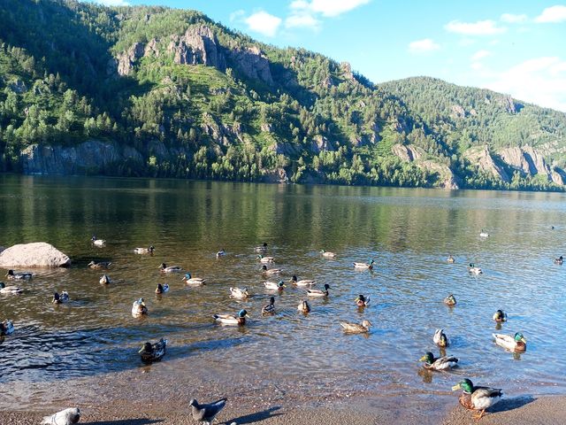 Индивидуальная экскурсия из Красноярска в Дивногорск и на ГЭС — фото 2