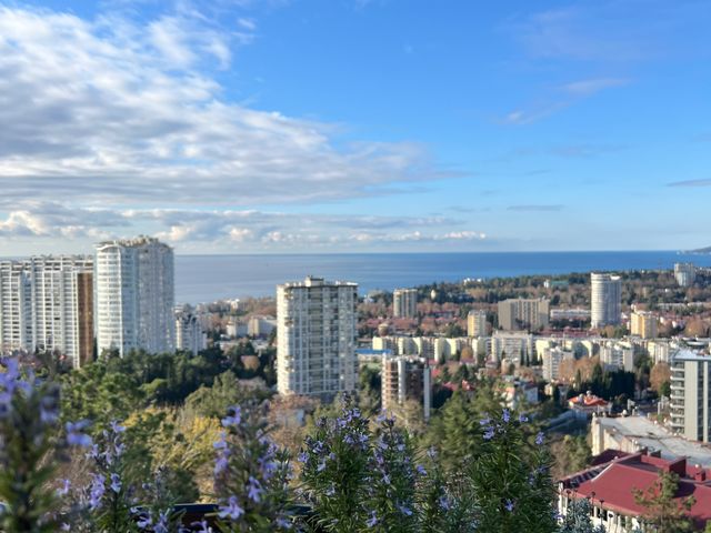 Индивидуальная семейная экскурсия "Нескучный Сочи" — фото 2