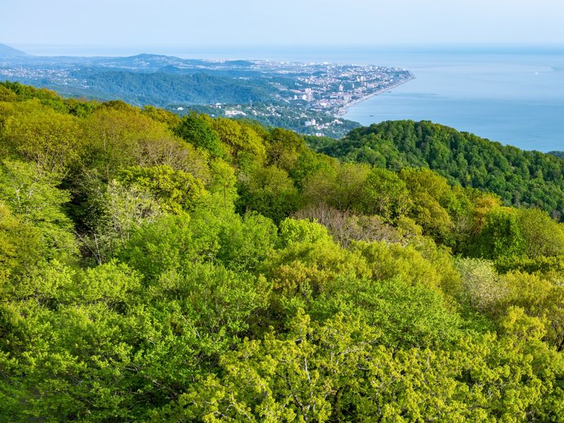 Панорамы