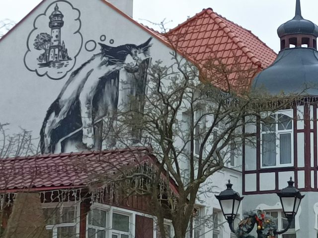 Куршская коса и Зеленоградск с любимым питомцем — фото 2