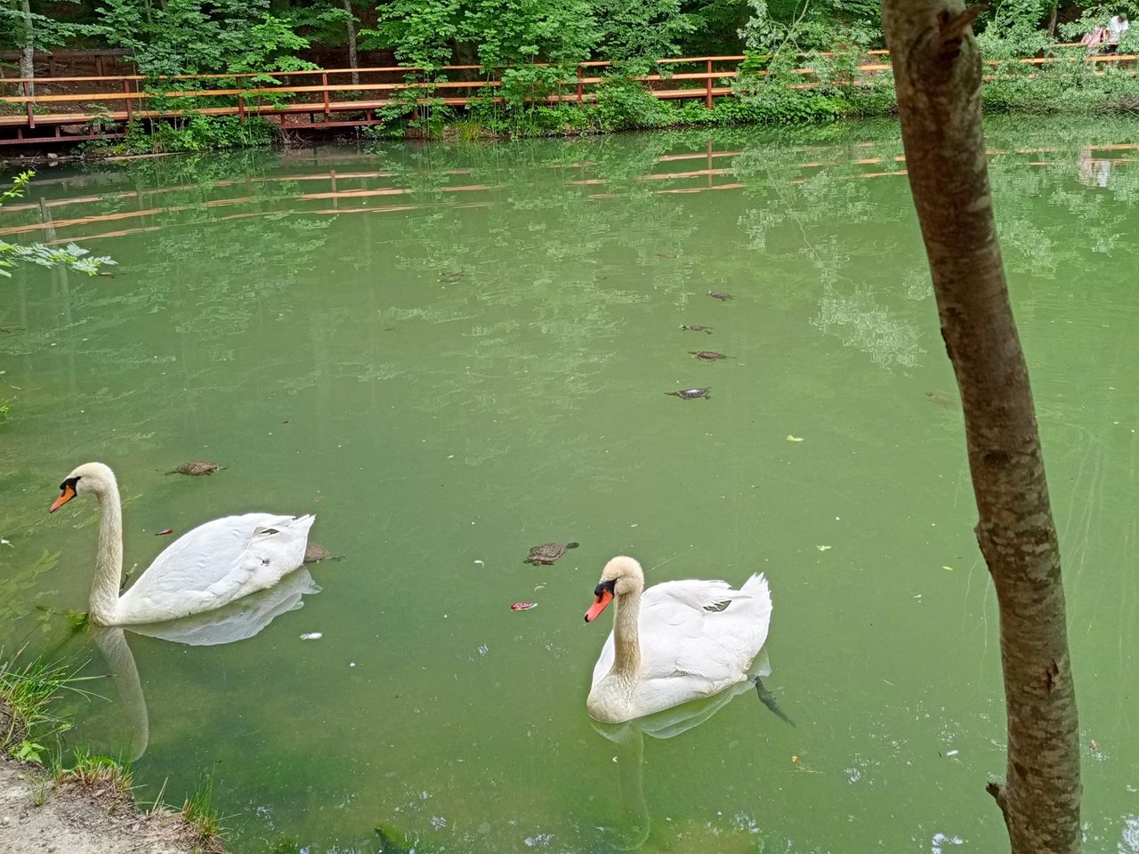 Два озера и самый большой водопад - групповая экскурсия в Ялте на машине гида длительностью 6.5 часов с количеством участников до 6 человек цена экскурсии 2500₽