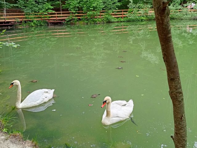 Два озера и самый большой водопад