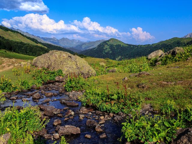 Обзорная экскурсия из Сухума в Каманы — центр паломничества — фото 2