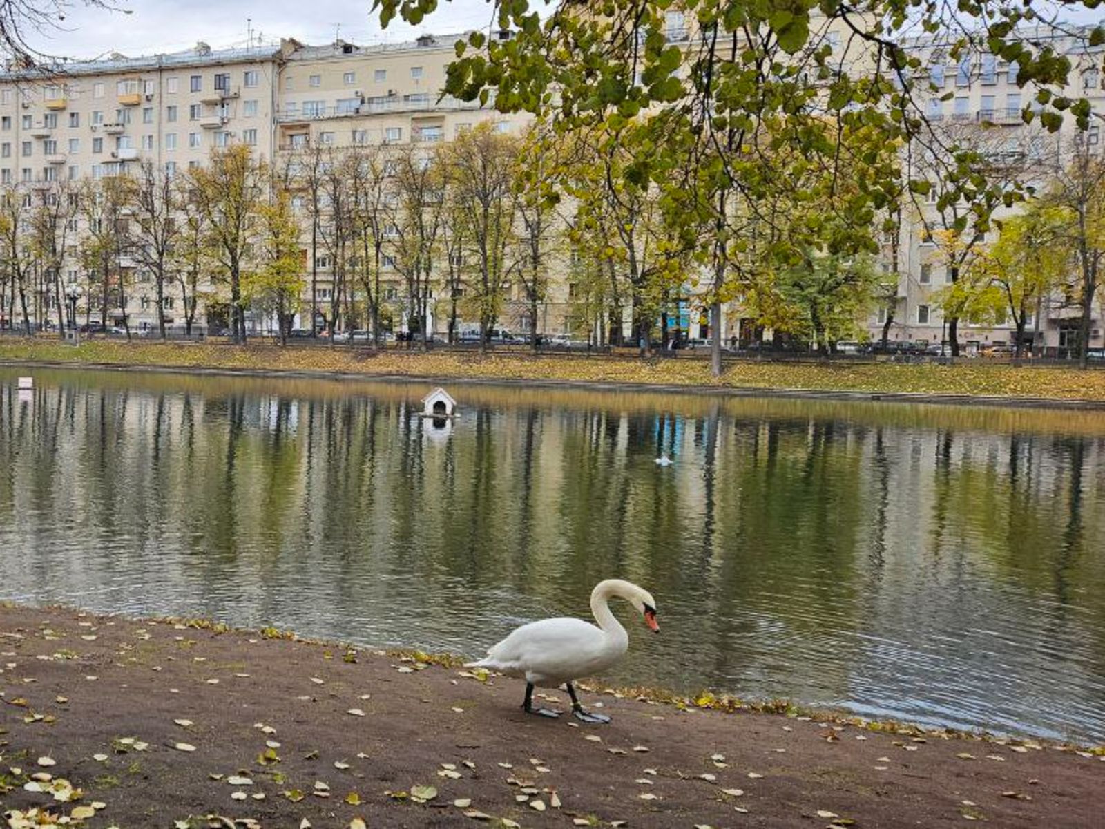 Патрики
