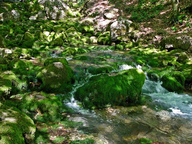 Групповое приключение в Большом каньоне Крыма