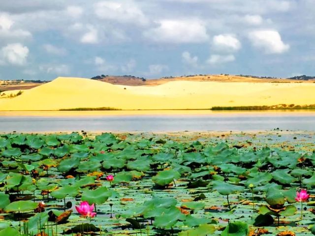 Экскурсия на джипах из Муйне к мини-пустыне и Красному каньону — фото 2