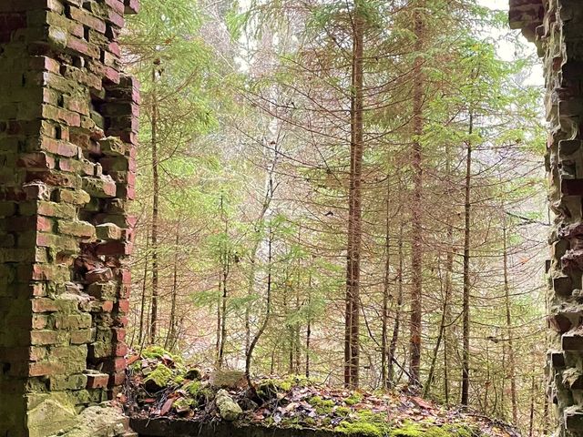 Индивидуальная джип-экскурсия из Сортавалы по Ведьминой тропе — фото 2