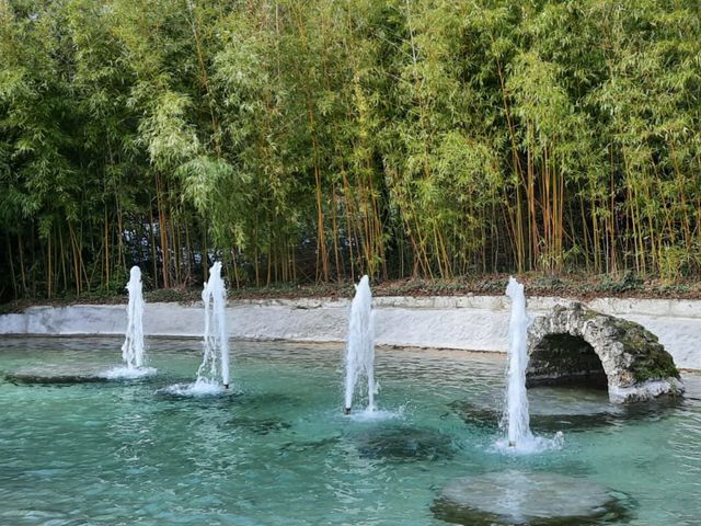 Обзорная экскурсия в группе из Алушты в Юсуповский дворец — фото 3