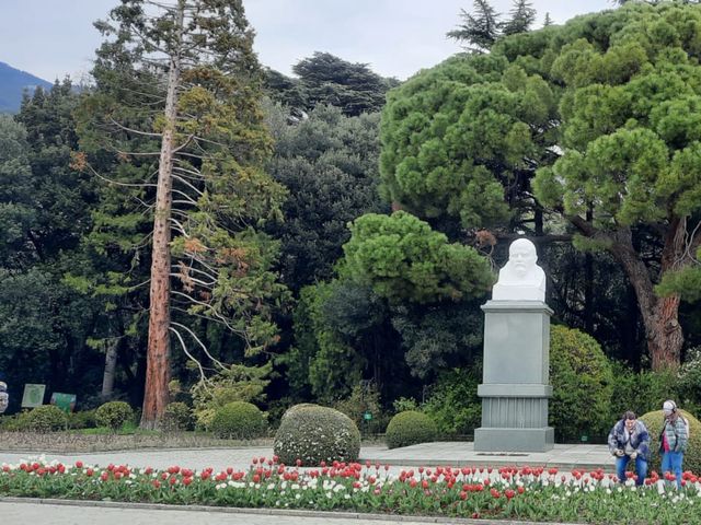 Обзорная экскурсия из Алушты в Никитский ботанический сад — фото 3