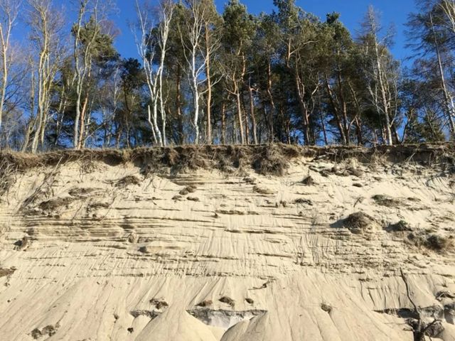 Индивидуальная экскурсия из Калининграда: дюны Куршской косы — фото 3