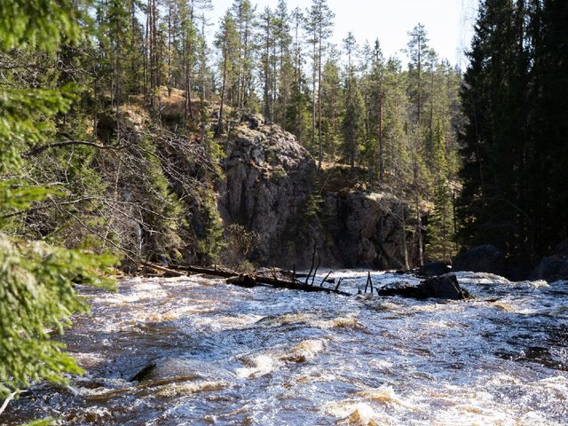 Джип-тур из Сортавалы: каменное ожерелье Карелии — фото 3