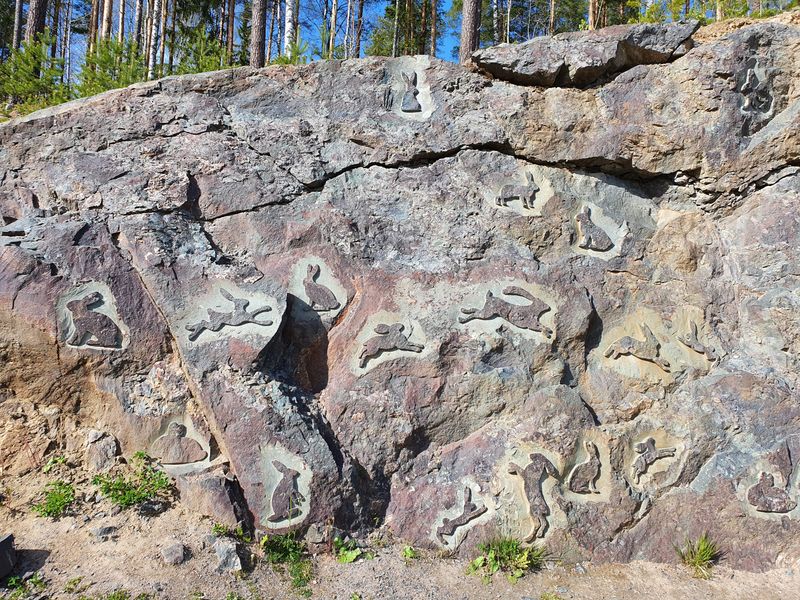 Обзорная экскурсия из Петрозаводска "Золотое кольцо Карелии" - индивидуальная экскурсия в Петрозаводске на машине гида длительностью 6 часов с количеством участников до 4 человек цена экскурсии 15000₽