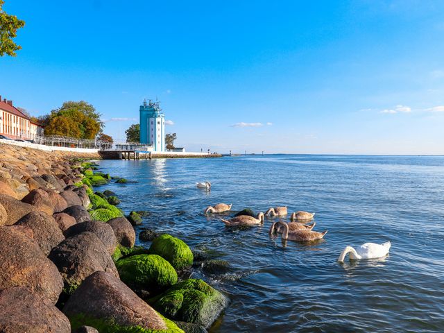 Обзорная экскурсия по "Балтийскому трио" из Калининграда