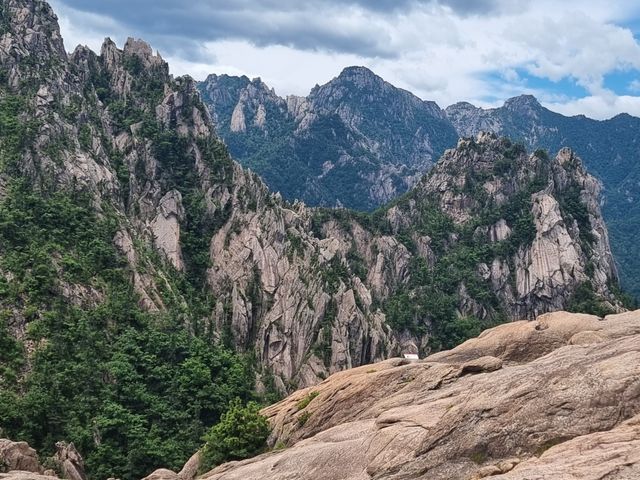 Индивидуальная экскурсия из Сеула в Сораксан, пляж / рыбный рынок — фото 3