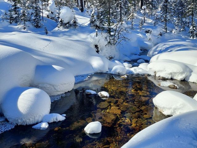 Групповая обзорная экскурсия из Иркутска на Мамай одним днём