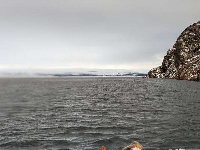 Индивидуальный обзорный тур "Тундра, скалы, море и его обитатели" — фото 2