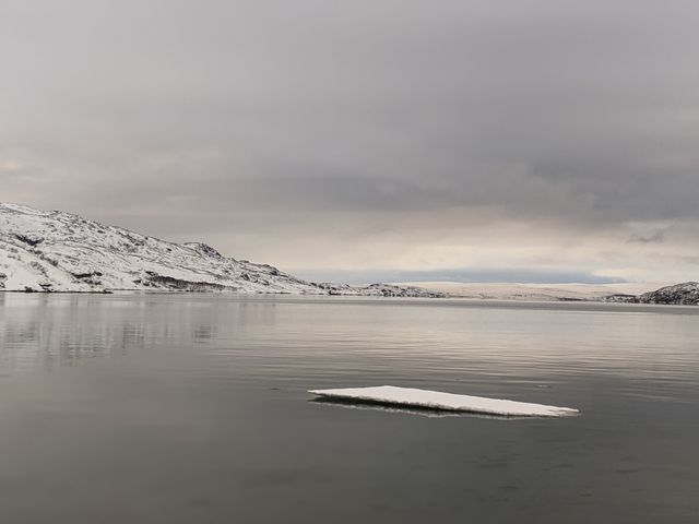 Индивидуальный обзорный тур "Тундра, скалы, море и его обитатели" — фото 3