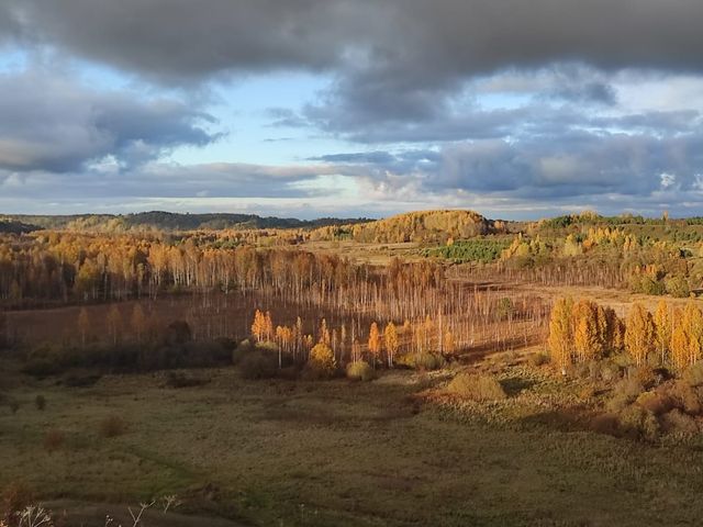 Обзорная экскурсия по Изборску: древний страж земли русской — фото 2