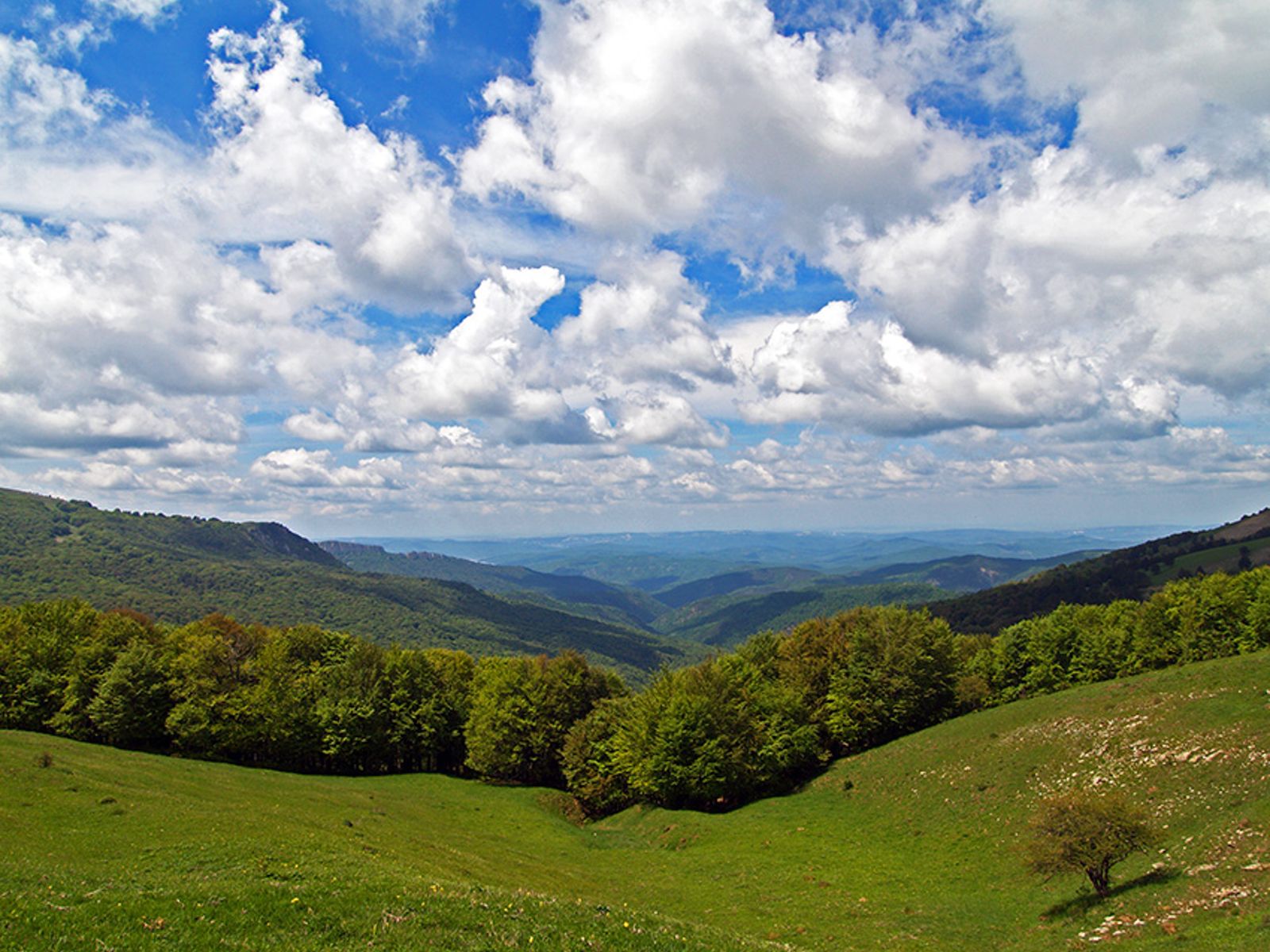 Панорамы